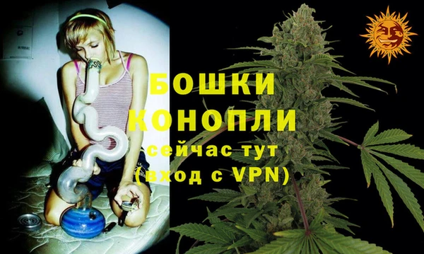 гидра Нея