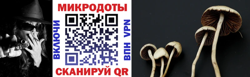 Купить  Алушта  Псилоцибиновые грибы Magic Shrooms 